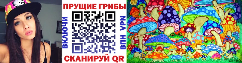 hydra вход  Мураши  Псилоцибиновые грибы мухоморы 
